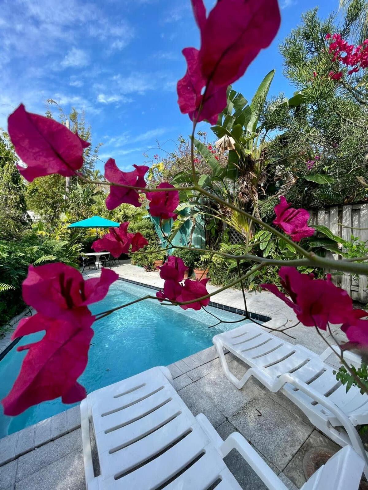 Delight And Cozy Apt Close To Las Olas & The Beach Villa Fort Lauderdale Kültér fotó