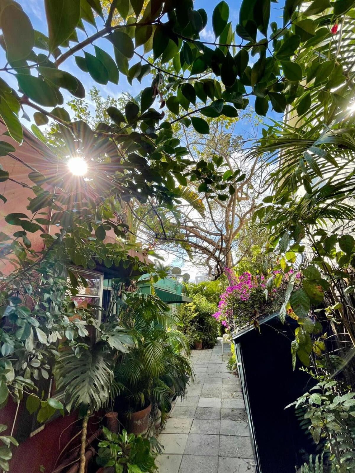 Delight And Cozy Apt Close To Las Olas & The Beach Fort Lauderdale Kültér fotó